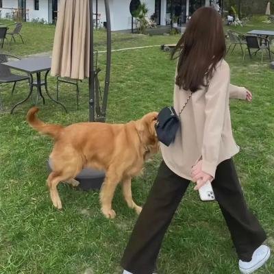 蝙蝠猎人